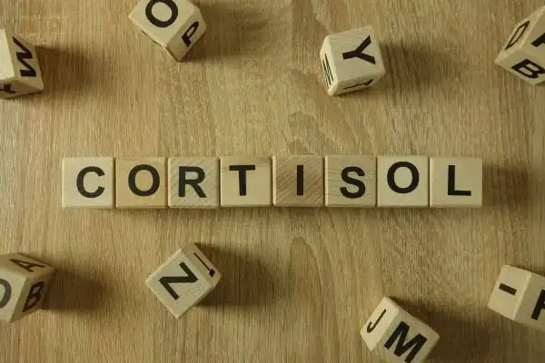 The Hidden Connection: How Stress Shapes Your Fitness and Body Composition 2 Image saying "Cortisol" and how stress Watford impacts your wellbeing and bodies shape